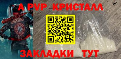 дживик Гай