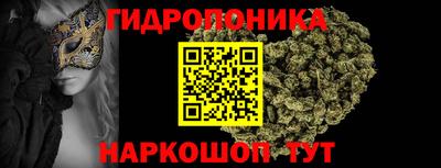 дмт Гатчина