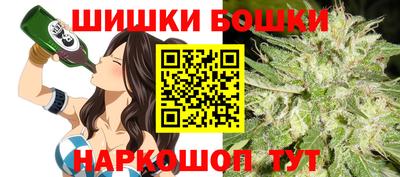 дмт Гатчина