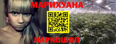 дживик Гай