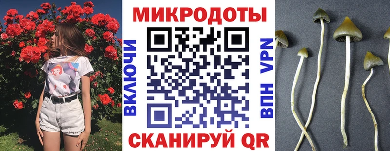 где купить наркотик  Балашиха  Псилоцибиновые грибы прущие грибы 