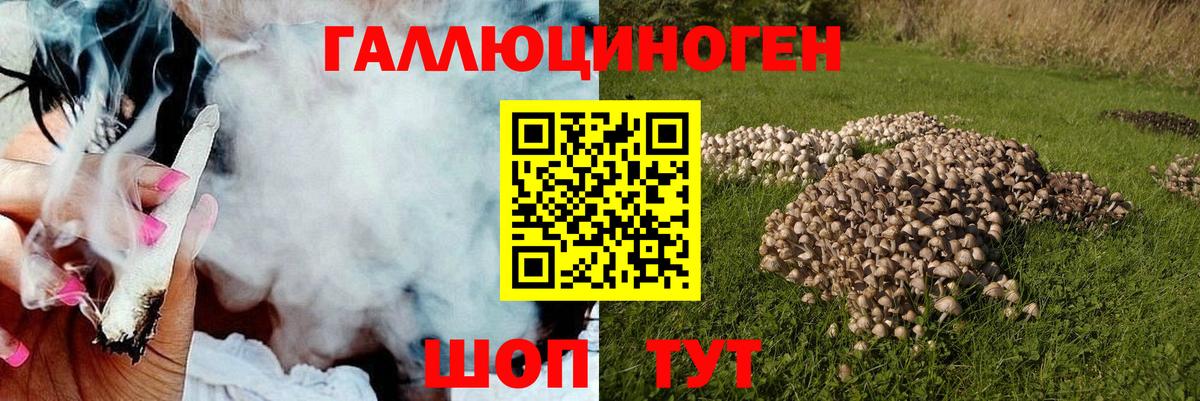 Псилоцибиновые грибы GOLDEN TEACHER Балашиха