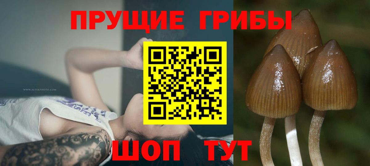 Балашиха  Галлюциногенные грибы Magic Shrooms  Вход с VPN 